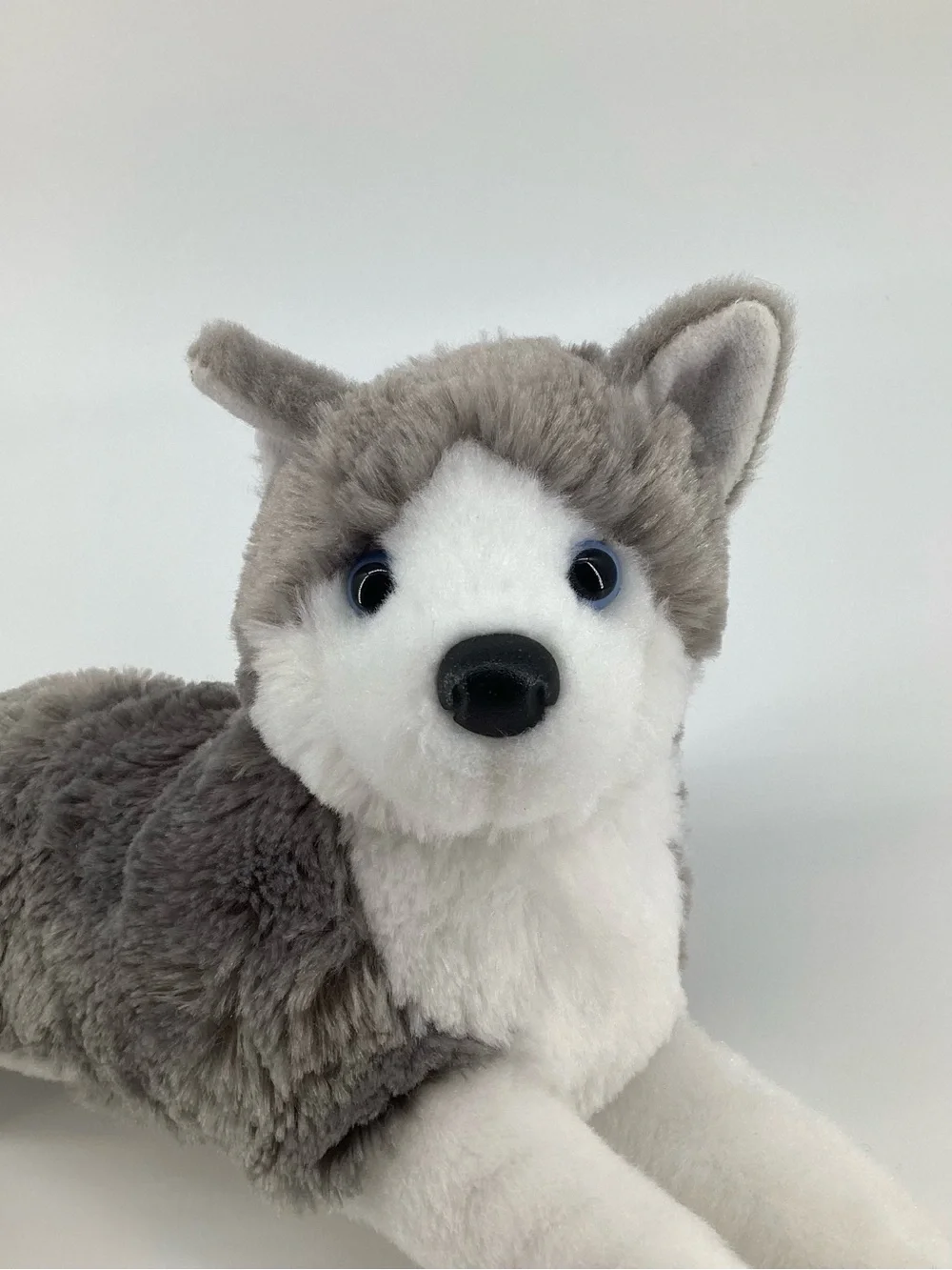 Douglas Husky Dog Plush #4327 Blue Eyes Puppy Laying Down Cuddle Toy Stuffed